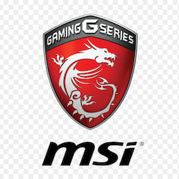 MSI