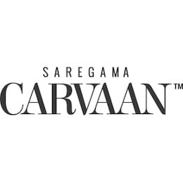 Saregama Carvaan