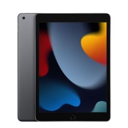 Apple iPad 9th Gen 2021 256GB Wi-Fi - Space Gray