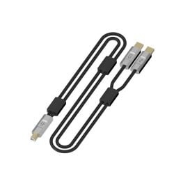 IFI-Audio Gemini Dual-Headed USB cable