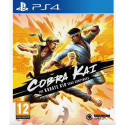 Cobra Kai The Karate Kid Saga Continues - PS4