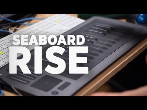 Seaboard RISE Review: Mad Zach
