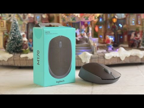 $10 Logitech M170 Wireless Mouse Review!