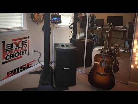 Review: Bose L1 Model II with B2 Bass Module  / zZsounds.comhttps://www.youtube.com/watch?v=D5_WFKQil3g