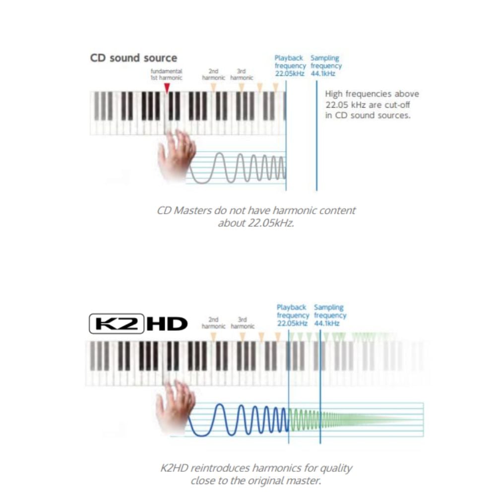 استعادة كود المصدر