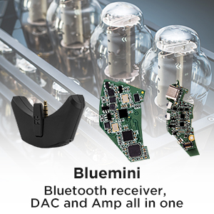 Bluemini-Small but Mighty