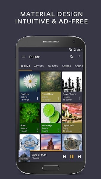 تطبيق Pulsar Music Player - 1