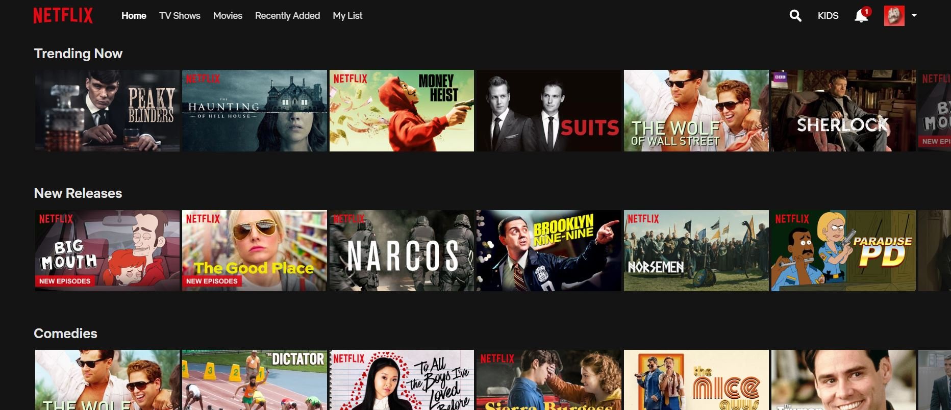 What is Netflix?