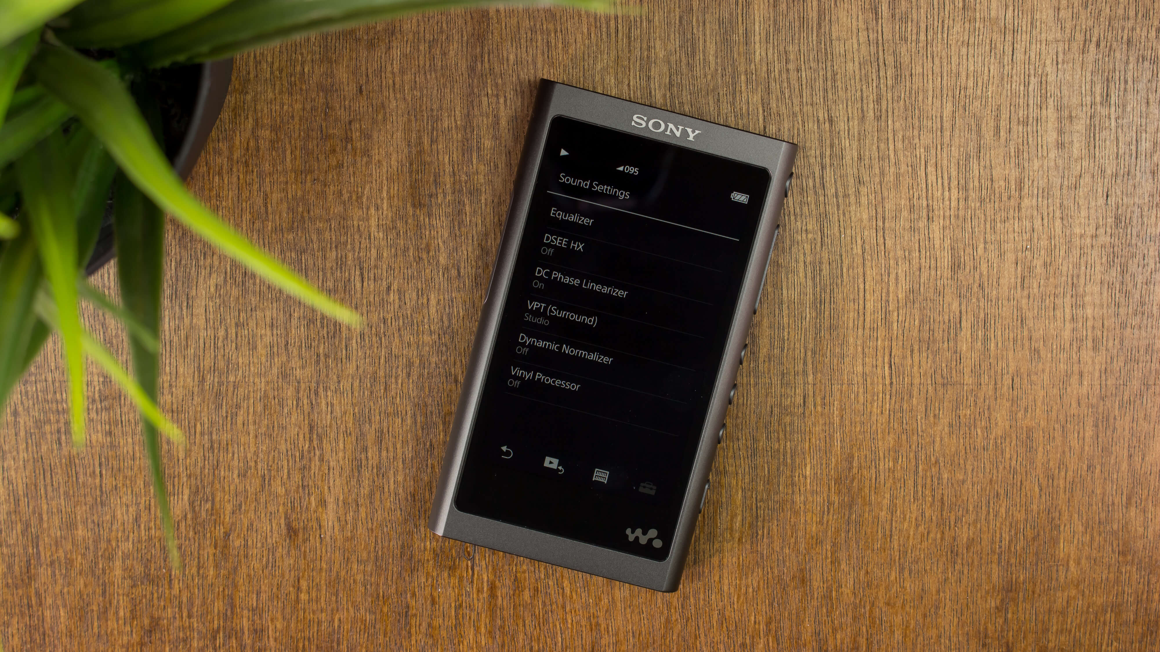 sony-a55-sound-settings